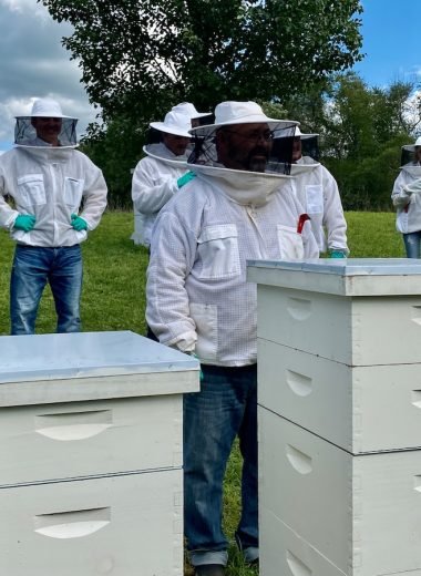Hive Installation and Maintenance